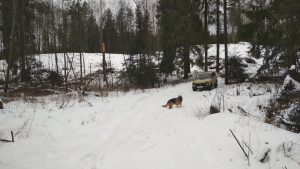 Волонтёр Джип Алерт, Тверь - Александр