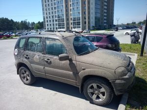 Волонтёр Джип Алерт, Карасук - Ника