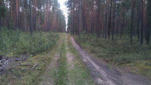 Волонтёр Джип Алерт, Северск - УАЗ