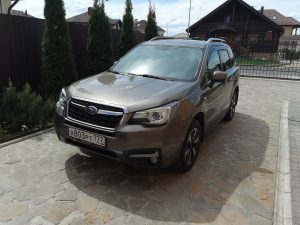 Волонтёр Джип Алерт, Московская область - Павел