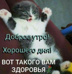 Волонтёр Джип Алерт, Московская область - Вадим
