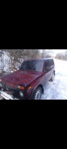 Волонтёр Джип Алерт, Павловск - Николай