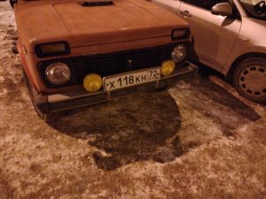 Волонтёр Джип Алерт, Тюмень - Ёжик