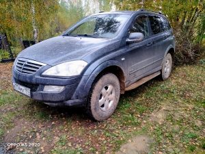 Волонтёр Джип Алерт, Москва - Пельмень