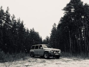 Волонтёр Джип Алерт, Колтуши - Артур
