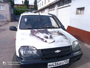 Волонтёр Джип Алерт, Ленинск - Николай